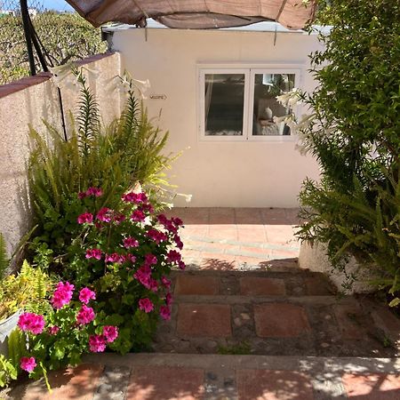 La Penita - Sunny Guesthouse With Private Pool And Garden Salobreña Exteriér fotografie